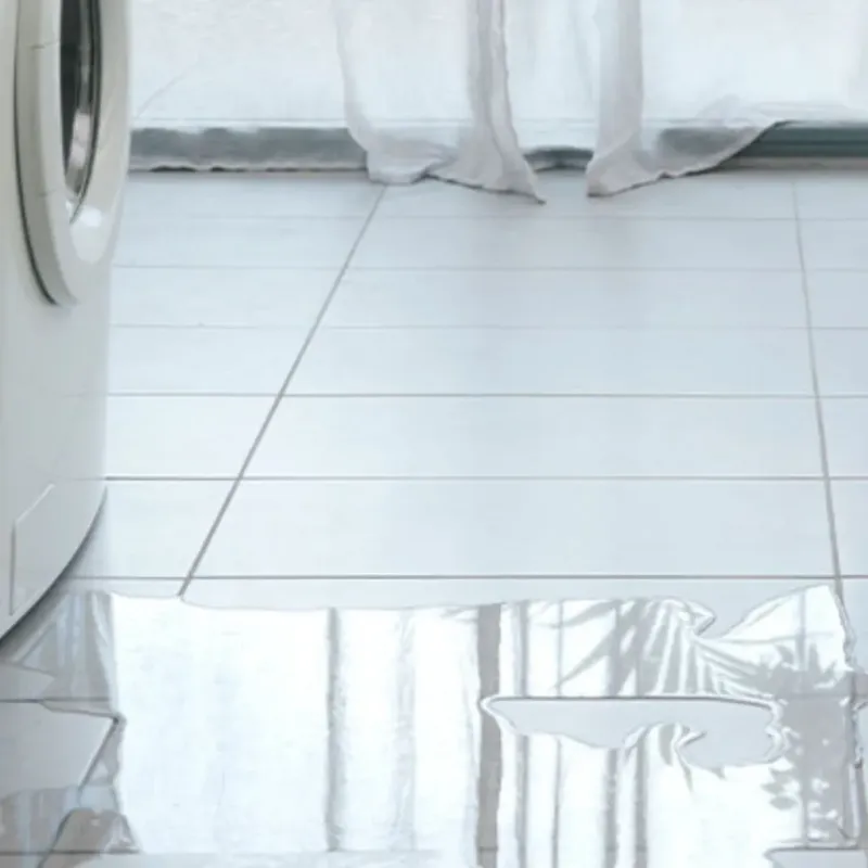 Appliance Leak Cleanup in Lake County, MI