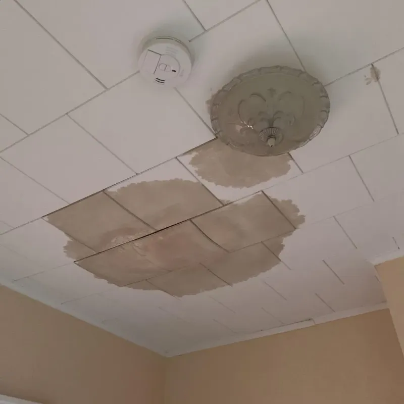 Ceiling Water Damage Repair in Lake County, MI