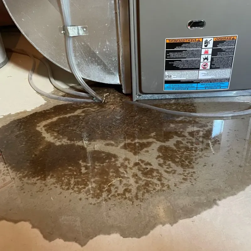 Pipe Burst and Leak Restoration in Lake County, MI