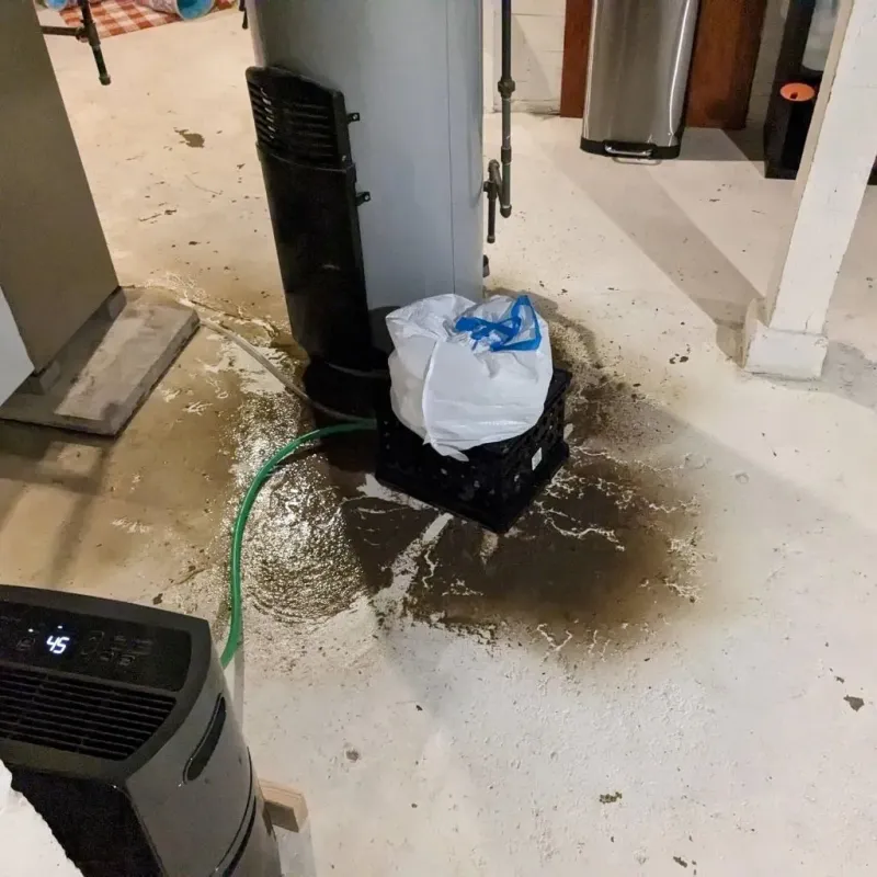 Sewage Backup Cleanup Service in Lake County, MI